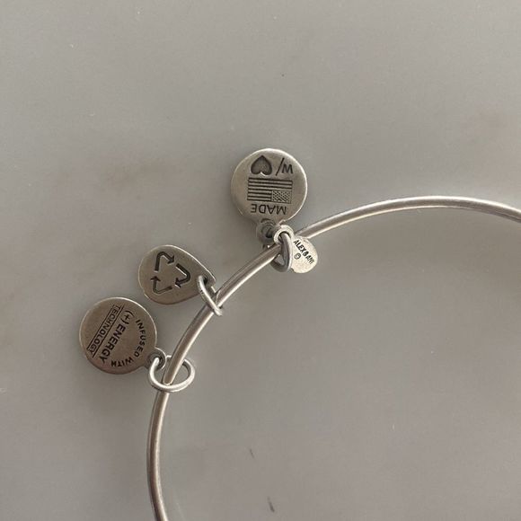 Alex & Ani | French Royalty silver charm bangle bracelet - Picture 3 of 5